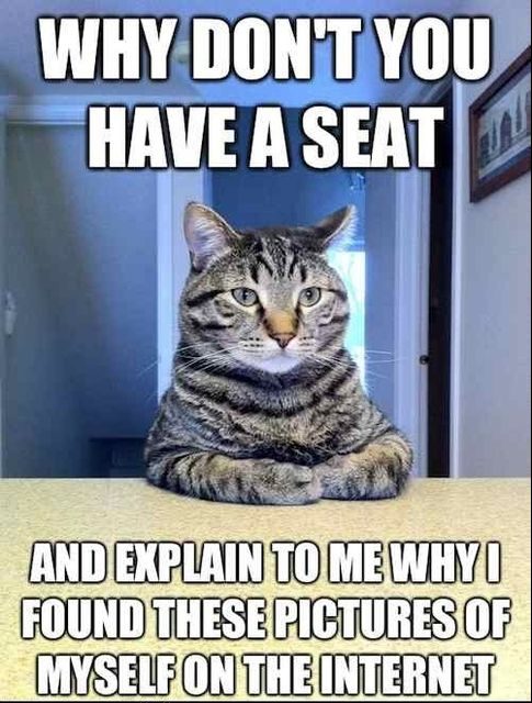 30 Hysterical Cat Memes You Must See 