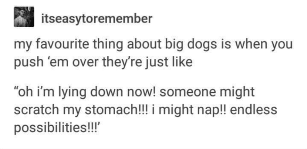 30 Amazing Memes About Pets And Animals 