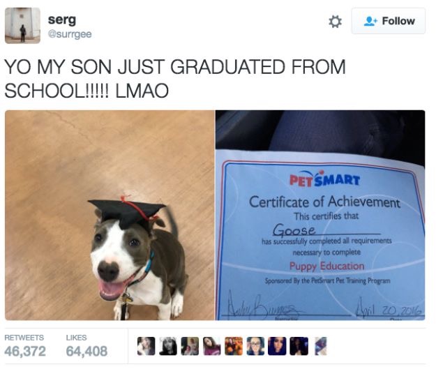 30 Cute And Wholesome Memes To Make You Feel Good