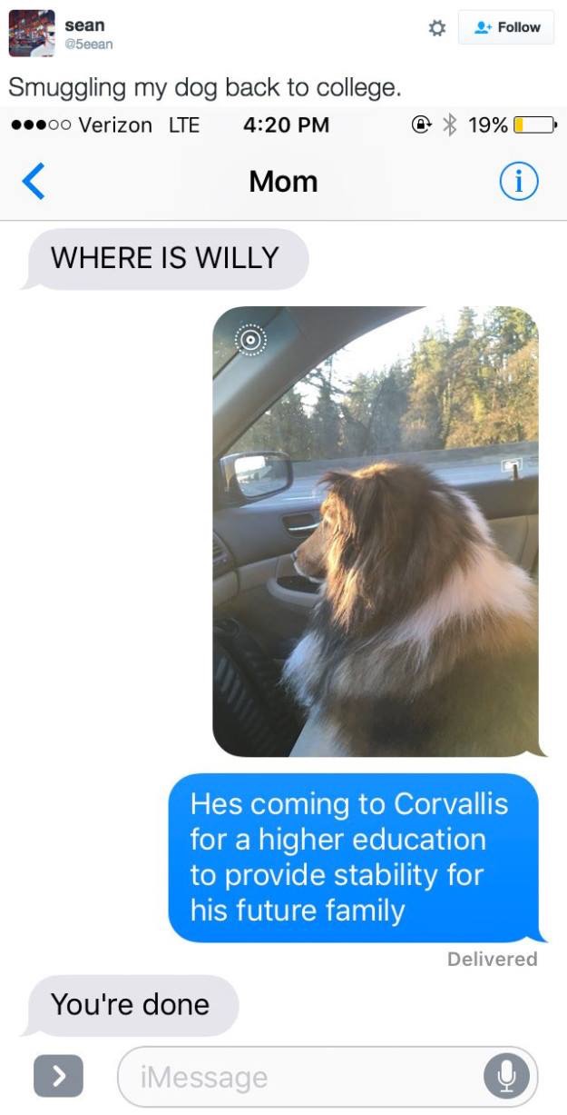 30 Cute And Wholesome Memes To Make You Feel Good
