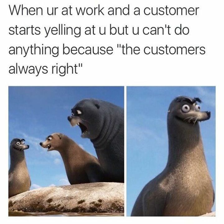 30 Great Work Place Memes To Share With Your CoWorkers 