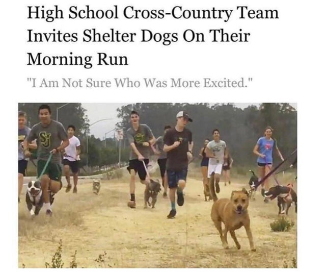 30 Cute And Wholesome Memes To Make You Feel Good