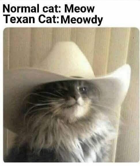 30 Amazing Memes About Pets And Animals 