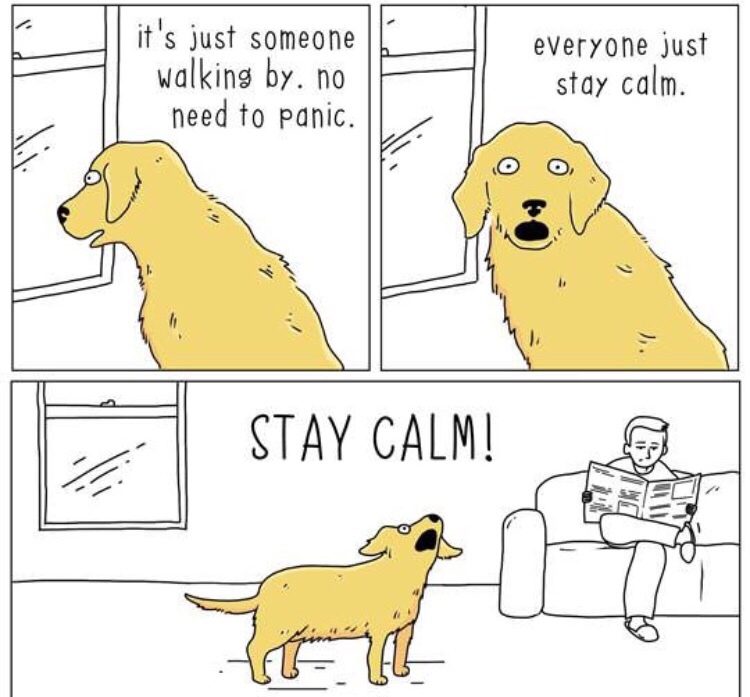 30 Amazing Memes About Pets And Animals 