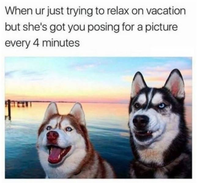 30 Great Summer Memes To Get Your Summer Going 