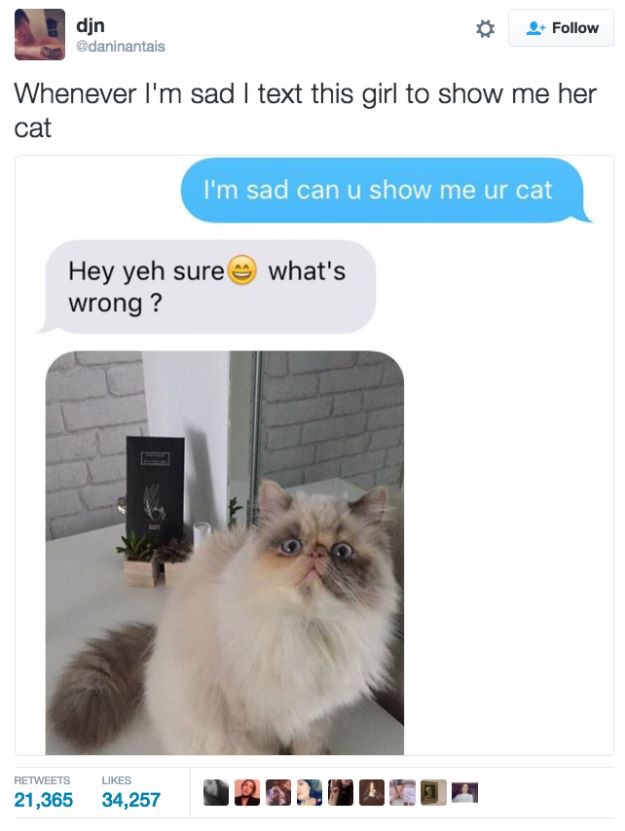 30 Cute And Wholesome Memes To Make You Feel Good