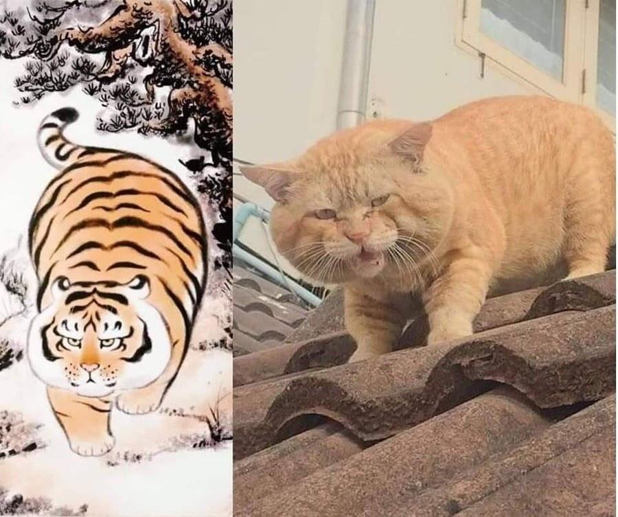 30 Amazing Memes About Pets And Animals 