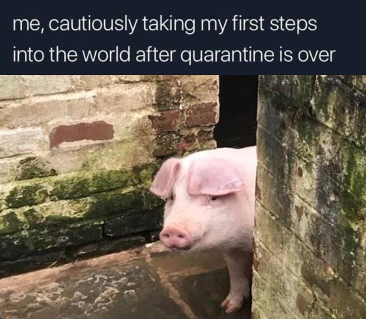 30 Painfully Relatable Quarantine Memes To Laugh At 