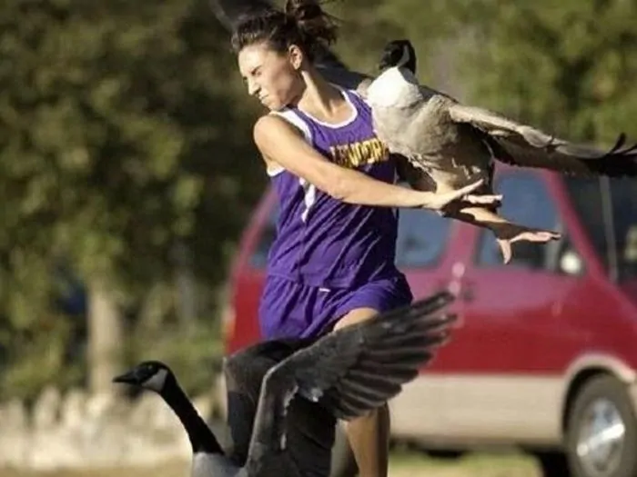 30 Absurd Fail That Were Caught On Camera 