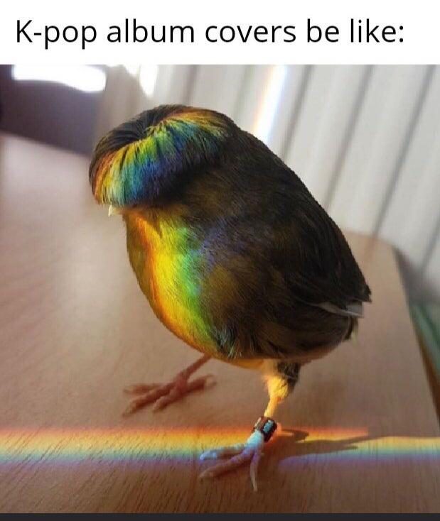 30 Amazing Memes About Pets And Animals 