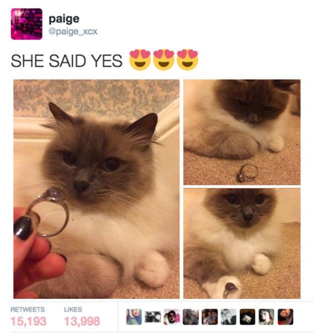 30 Cute And Wholesome Memes To Make You Feel Good