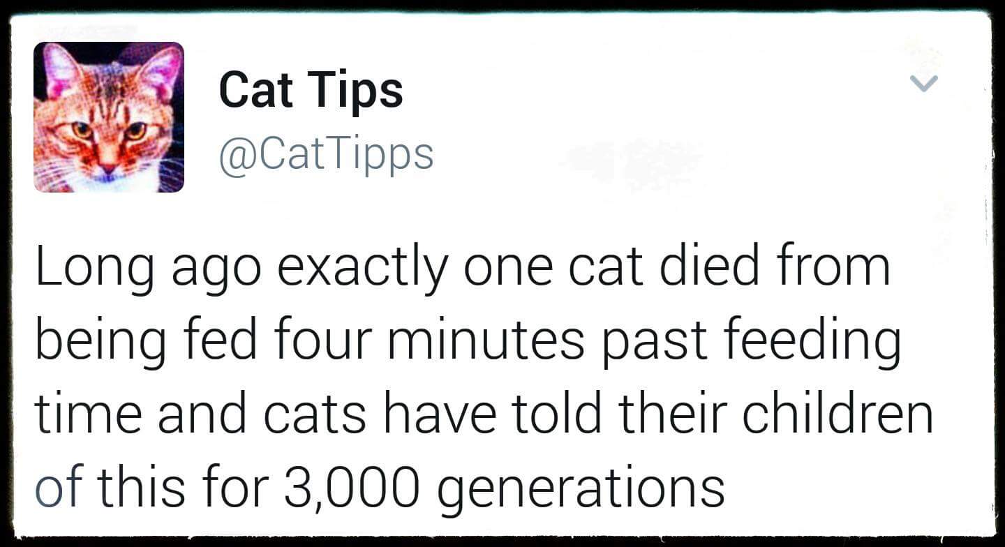 30 Amazing Memes About Pets And Animals 