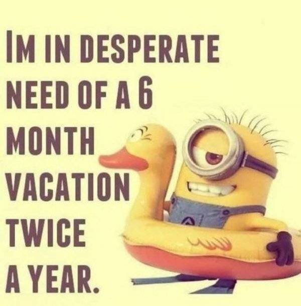 30 Great Summer Memes To Get Your Summer Going 