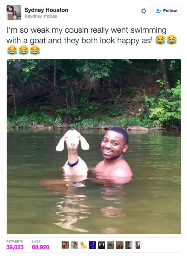 30 Cute And Wholesome Memes To Make You Feel Good
