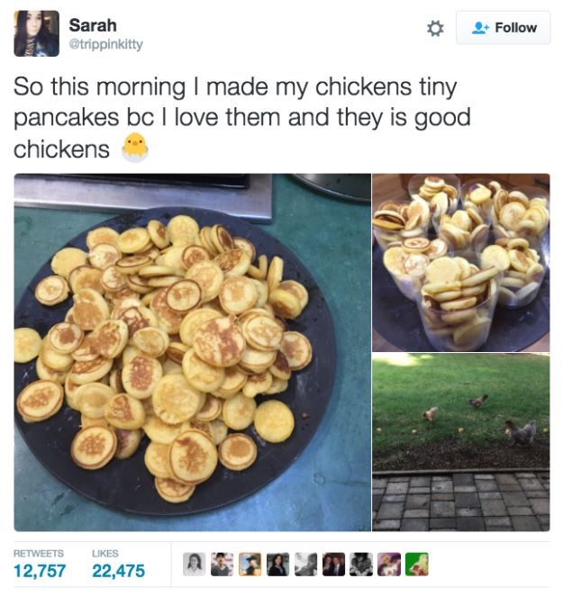 30 Cute And Wholesome Memes To Make You Feel Good