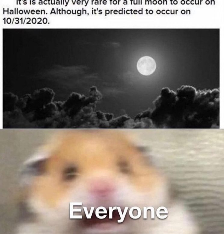 30 Silly Halloween Memes To Get You Ready For The Spooky Season 
