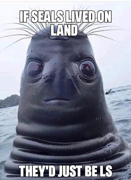 30 Awesome Puns That Will Make Your Day Better