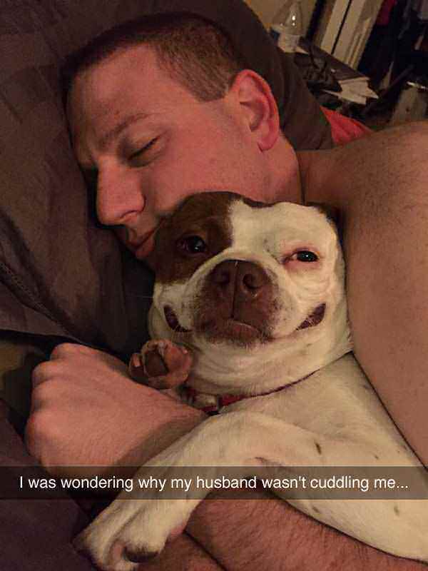 34 Priceless Pictures Of Cute Smiling Dogs