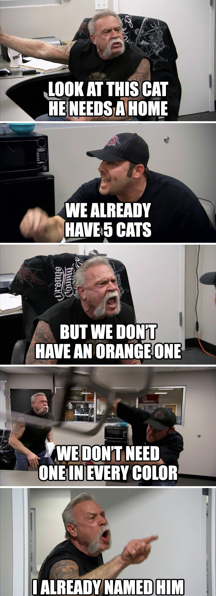 30 Adorable Cat Memes For You To Enjoy 