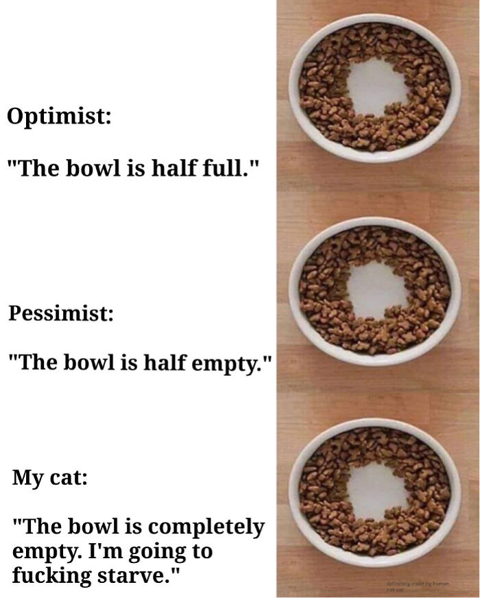 30 Adorable Cat Memes For You To Enjoy 