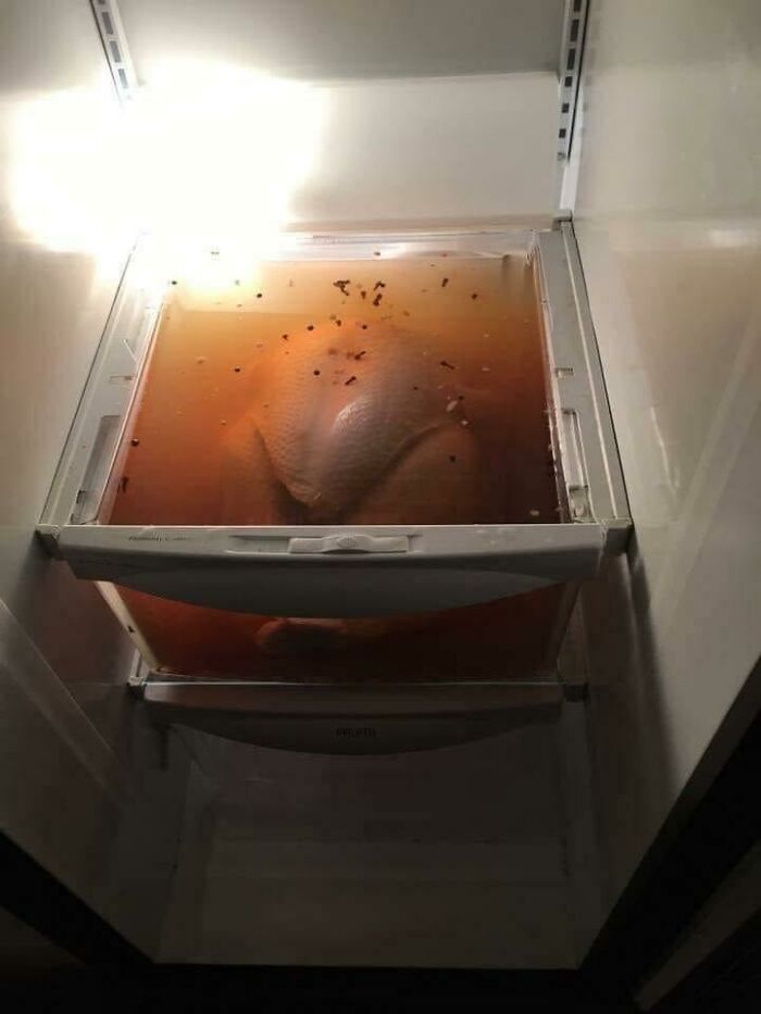 30 Epic Fails From This Past Thanksgiving