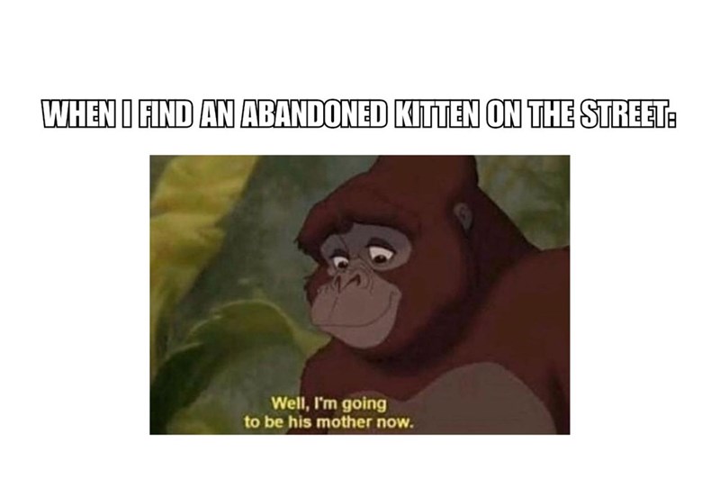 32 Inspirational And Wholesome Memes To Uplift You 