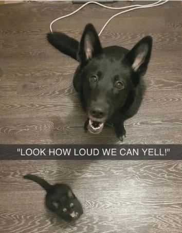 32 Inspirational And Wholesome Memes To Uplift You 