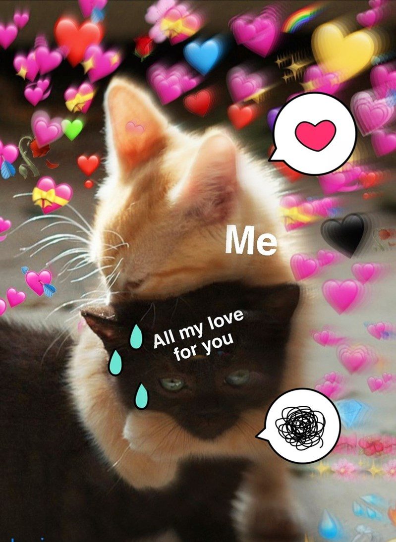 32 Inspirational And Wholesome Memes To Uplift You 