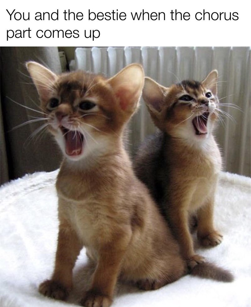 32 Inspirational And Wholesome Memes To Uplift You 