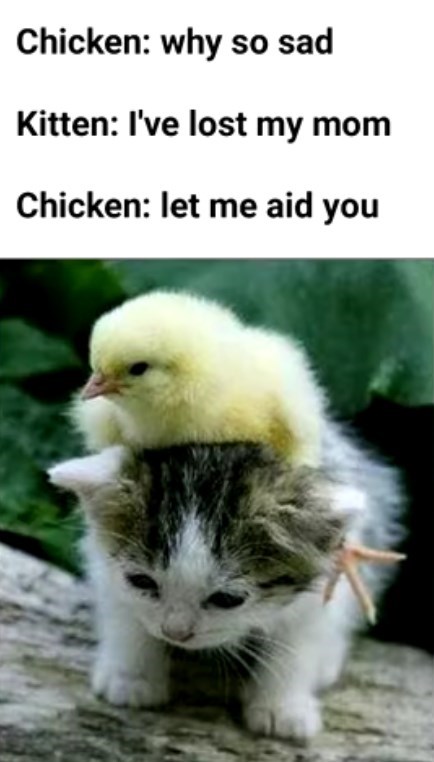 32 Inspirational And Wholesome Memes To Uplift You 