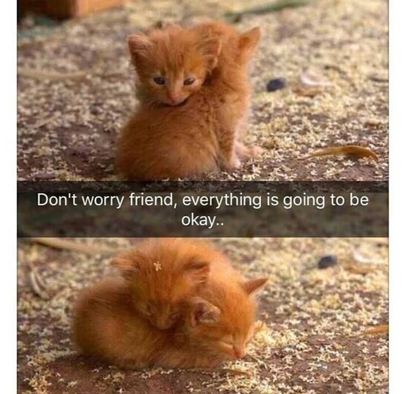 32 Inspirational And Wholesome Memes To Uplift You 