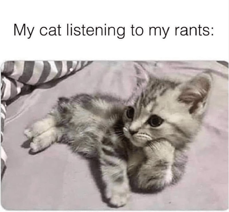 32 Inspirational And Wholesome Memes To Uplift You 
