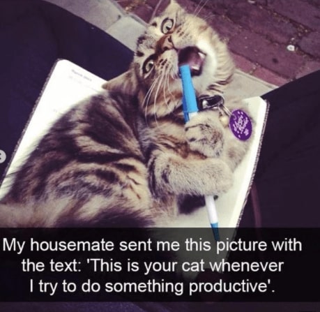 32 Inspirational And Wholesome Memes To Uplift You 