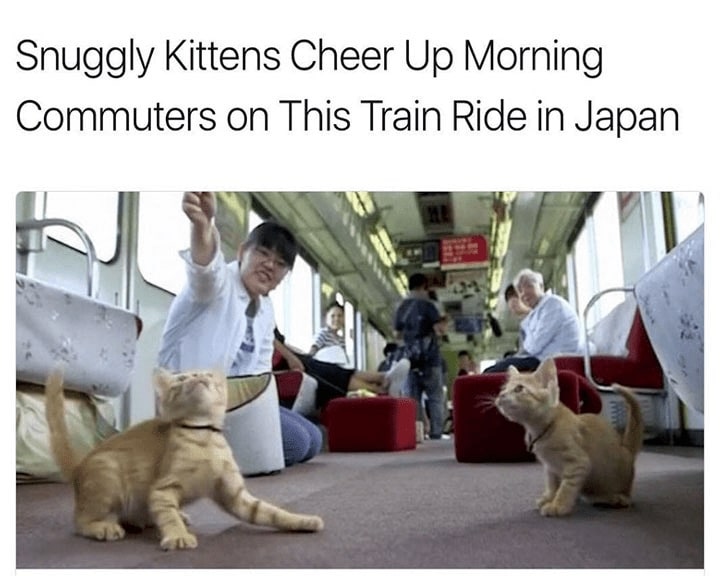 32 Inspirational And Wholesome Memes To Uplift You 