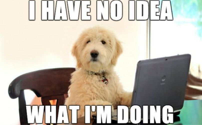 30 Excellent Dog Memes To Make Your Day Better