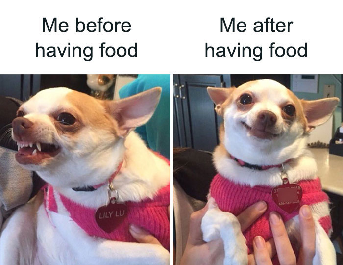 30 Sizzling Food Memes To Share With A Foodie 