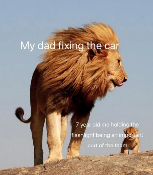 32 Inspirational And Wholesome Memes To Uplift You 