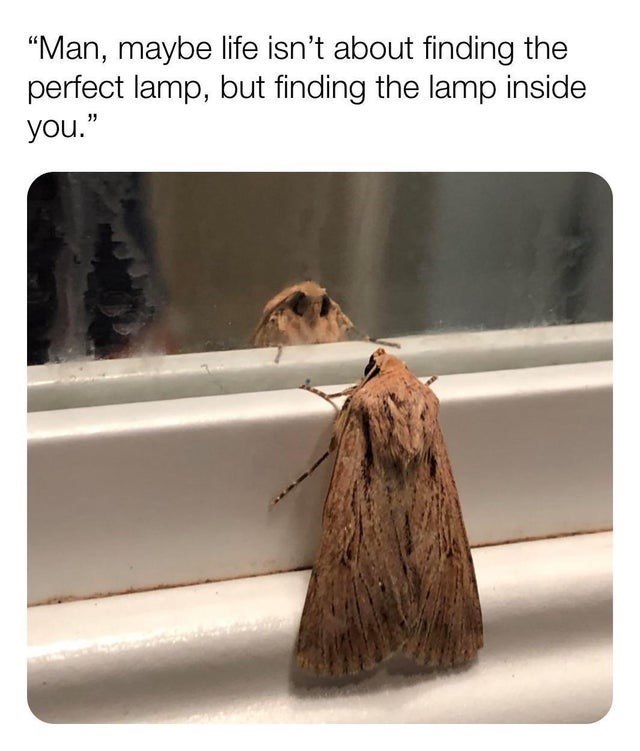 32 Inspirational And Wholesome Memes To Uplift You 