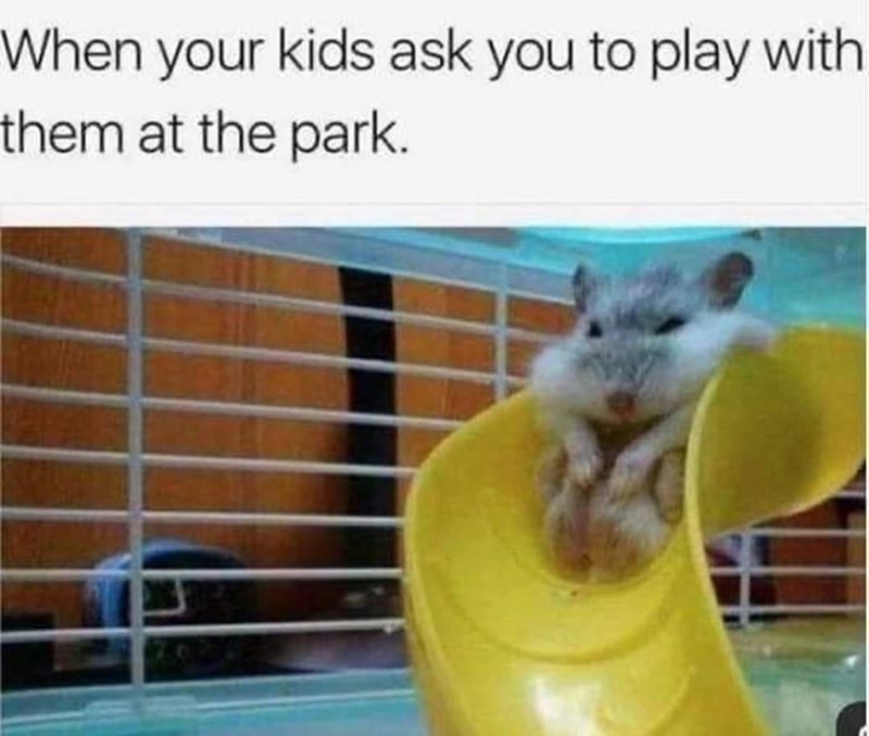 32 Silly Memes For Parents To Laugh At