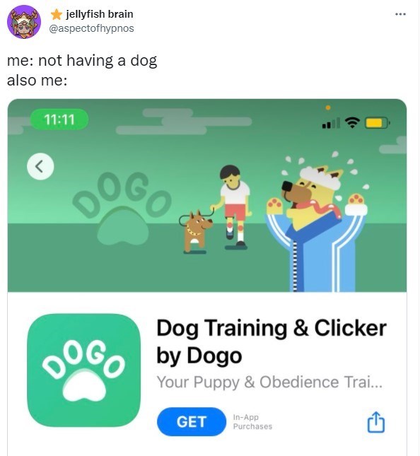 30 Excellent Dog Memes To Make Your Day Better