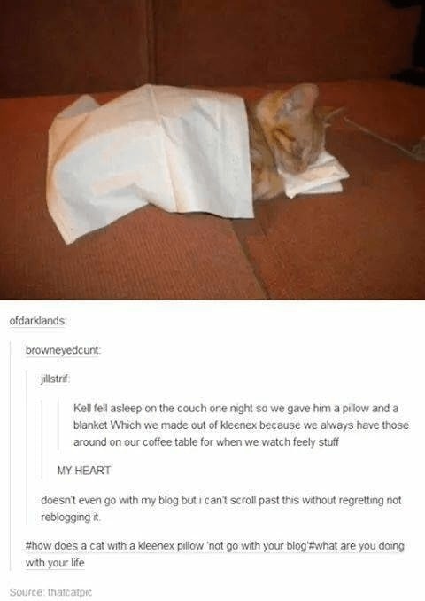 32 Inspirational And Wholesome Memes To Uplift You 