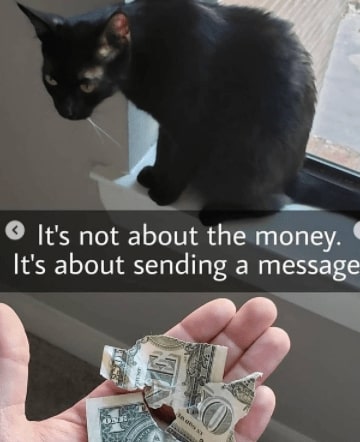 32 Inspirational And Wholesome Memes To Uplift You 