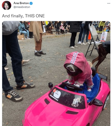 30 Epic Halloween Costumes You Must See