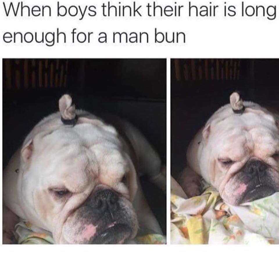 30 Random Memes That Are Too Funny To Categorise 