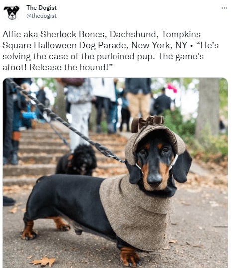 30 Epic Halloween Costumes You Must See