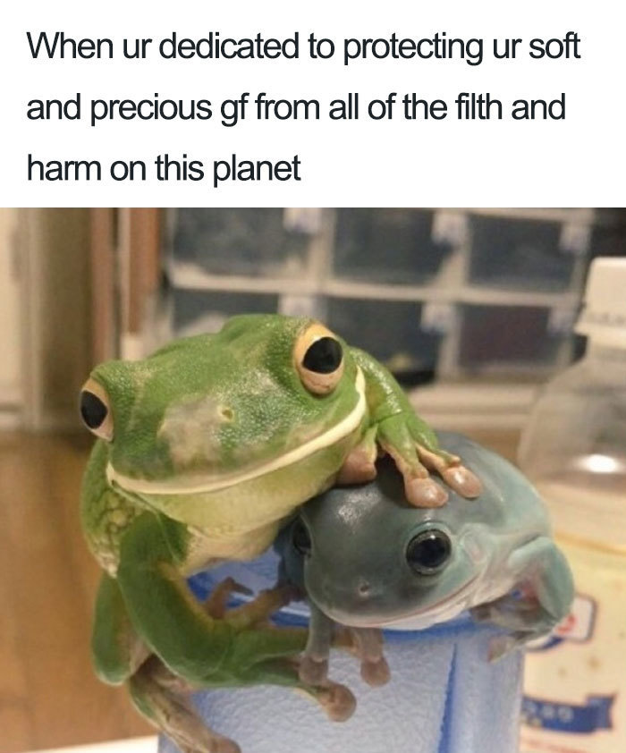 30 Accurate Relationship Memes For All The Lovely Couples