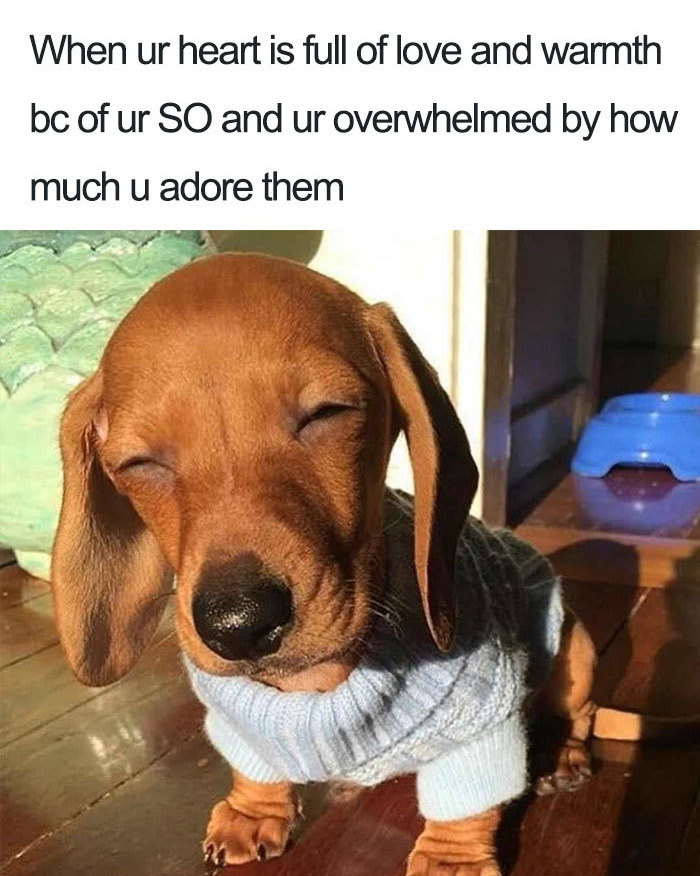30 Accurate Relationship Memes For All The Lovely Couples