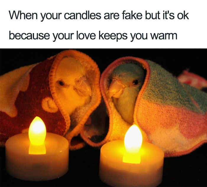 30 Accurate Relationship Memes For All The Lovely Couples