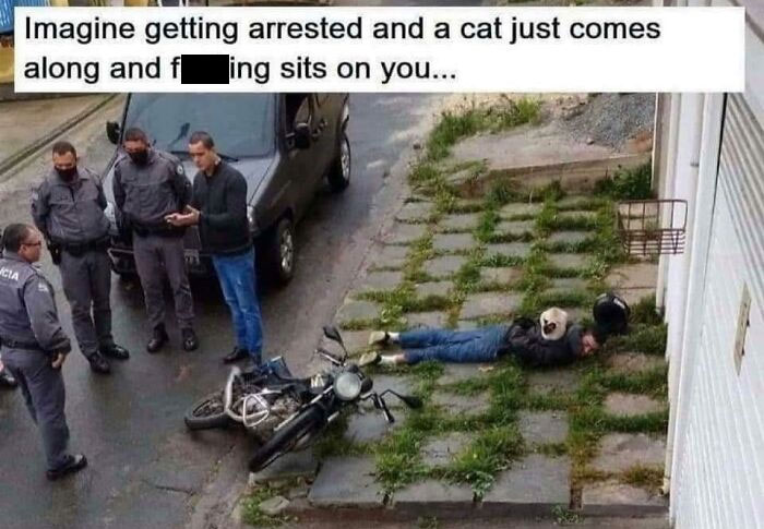 30 Sensational Memes About The Great Outdoors