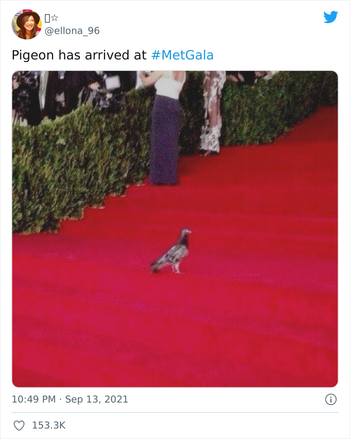 30 Dreamy Memes From The Met Gala You Must See 